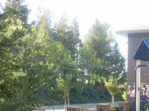 1455 ARNOLD DRIVE MARTINEZ, CA 94553 l Playground